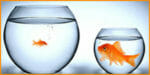 Evolving Beyond a One Size Fits All Training Program