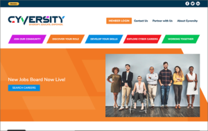 Cyversity website