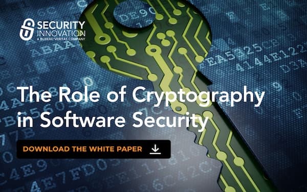 The Role of Cryptography in Software Security