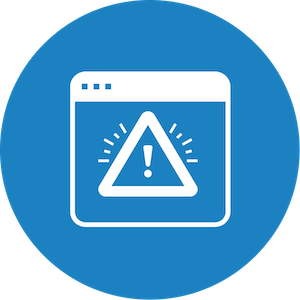 Software Penetration Testing